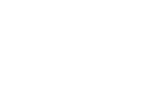 PUGNASTORE